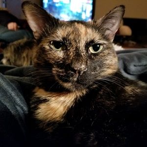 Meet your Posher, Lucrezia